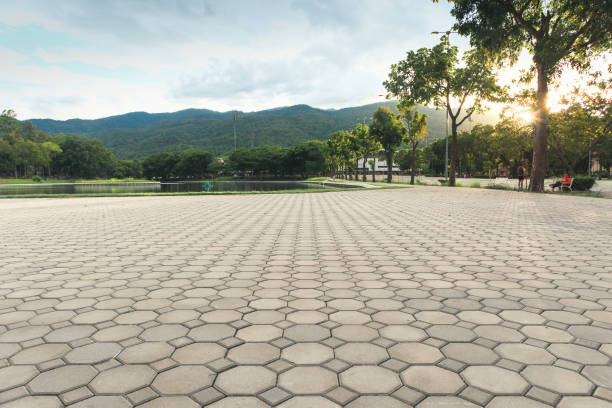 Best Driveway Pavers Installation  in Mendota, IL