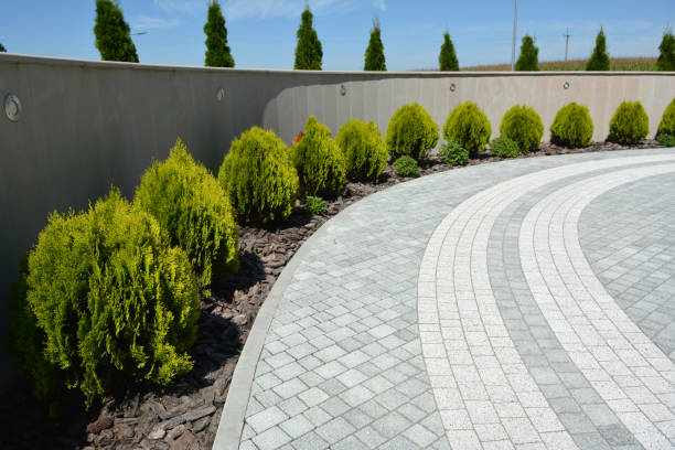 Best Driveway Pavers Near Me  in Mendota, IL
